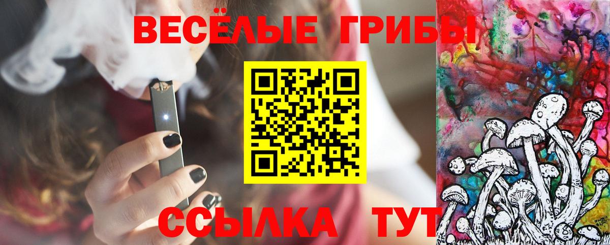 Псилоцибиновые грибы прущие грибы  где продают наркотики  Назарово  Вход с VPN  Галлюциногенные грибы Psilocybine cubensis 